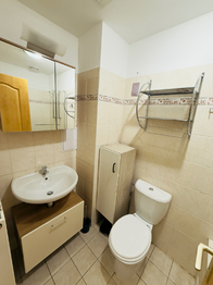 Pronájem bytu 2+kk v osobním vlastnictví 55 m², Plzeň