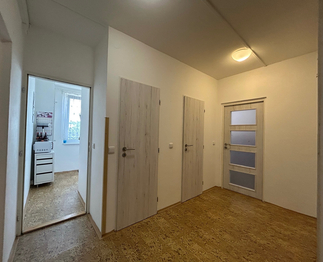 Prodej bytu 2+1 v družstevním vlastnictví 55 m², Milovice