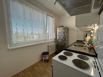 Prodej bytu 2+1 v družstevním vlastnictví 55 m², Milovice