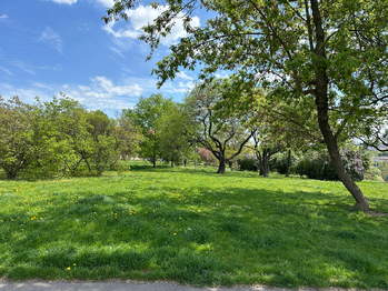 Prodej bytu 2+kk v osobním vlastnictví 50 m², Praha 8 - Libeň