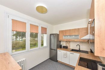 Pronájem bytu 2+1 v osobním vlastnictví 48 m², Plzeň