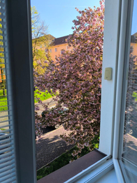 Prodej bytu 1+1 v osobním vlastnictví 37 m², Sokolov