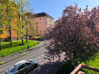 Prodej bytu 1+1 v osobním vlastnictví 37 m², Sokolov