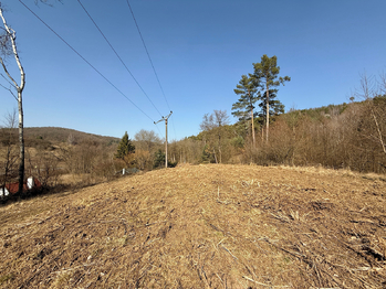 Prodej pozemku 6644 m², Medonosy