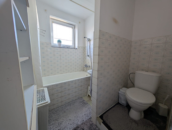 byt 3 koupelna - Prodej domu 232 m², Vyškov