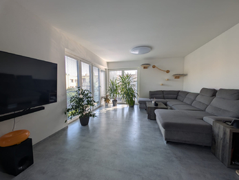 byt 2 obyvák - Prodej domu 232 m², Vyškov