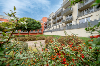 Pronájem bytu 1+kk v osobním vlastnictví 38 m², Praha 5 - Jinonice