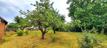 zahrada - Prodej domu 341 m², Nové Syrovice
