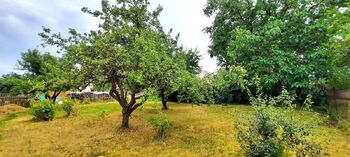 zahrada - Prodej domu 341 m², Nové Syrovice
