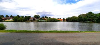 rybník před domem - Prodej domu 341 m², Nové Syrovice