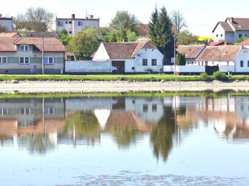 pohled na dům přes rybník - Prodej domu 341 m², Nové Syrovice