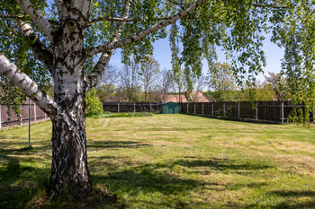 Prodej domu 121 m², Opočno