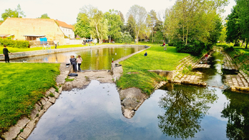 Prodej, Kmetiněves