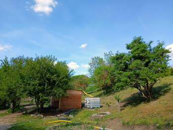 Prodej pozemku 4100 m², Býčkovice