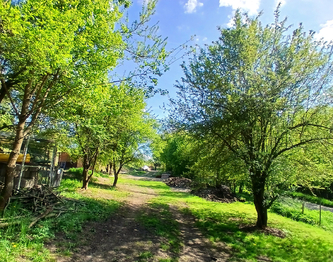 Prodej pozemku 4100 m², Býčkovice