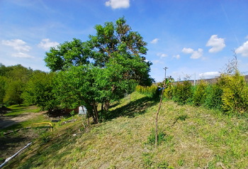 Prodej pozemku 4100 m², Býčkovice