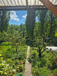 Prodej chaty / chalupy 14 m², Židlochovice