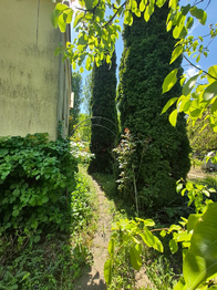 Prodej chaty / chalupy 14 m², Židlochovice