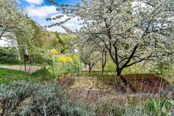 Prodej chaty / chalupy 16 m², Brno