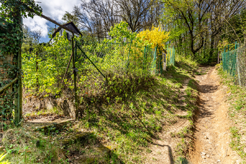 Prodej chaty / chalupy 16 m², Brno