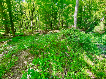 Prodej pozemku 26579 m², Rousínov