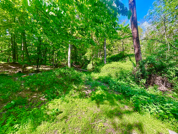 Prodej pozemku 26579 m², Rousínov