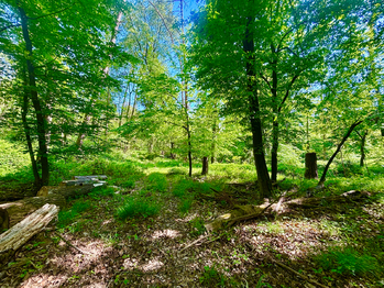 Prodej pozemku 26579 m², Rousínov
