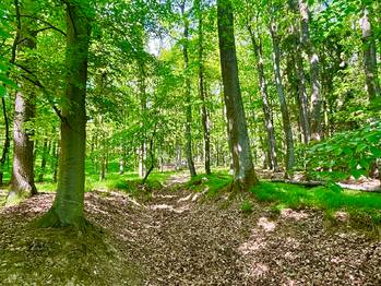 Prodej pozemku 26579 m², Rousínov