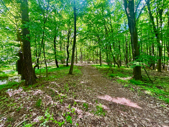 Prodej pozemku 26579 m², Rousínov