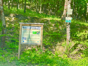 Prodej pozemku 26579 m², Rousínov