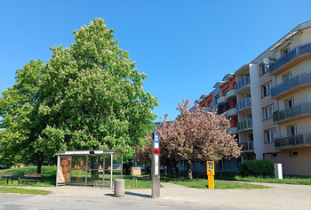 Pronájem bytu 2+1 v osobním vlastnictví 68 m², České Budějovice