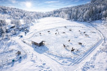 Prodej pozemku 18594 m², Chotěvice