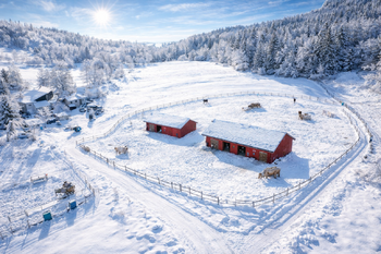 Prodej pozemku 18594 m², Chotěvice
