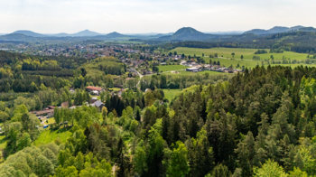 Prodej pozemku 5335 m², Cvikov