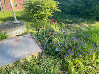 Prodej chaty / chalupy 38 m², Čtyřkoly