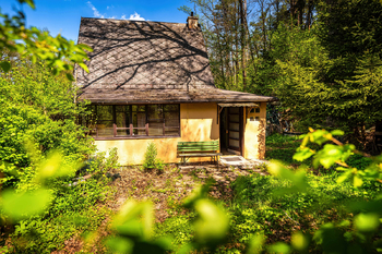 Prodej chaty / chalupy 50 m², Borovnice