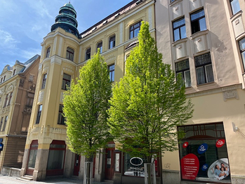 Pronájem bytu 1+kk v osobním vlastnictví 33 m², Jablonec nad Nisou