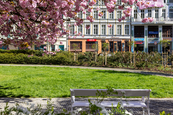 Prodej obchodních prostor 115 m², Karlovy Vary