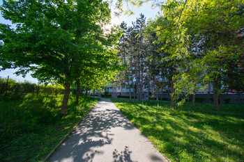 Pohled na dům - zadní část - Prodej bytu 2+1 v osobním vlastnictví 63 m², Hradec Králové