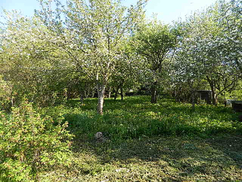 Pronájem pozemku 1273 m², Žárovná