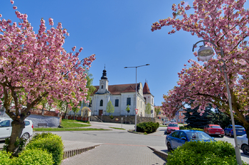 Mladá Vožice - Prodej pozemku 699 m², Řemíčov