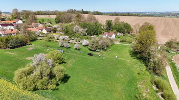 Prodej pozemku 699 m², Řemíčov