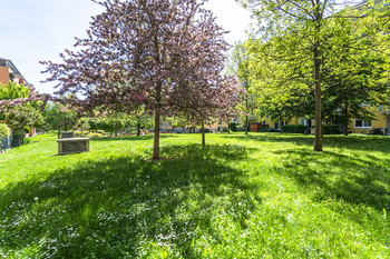Pronájem bytu 2+kk v osobním vlastnictví 62 m², Praha 9 - Čakovice