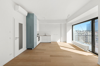 Pronájem bytu 1+kk v osobním vlastnictví 40 m², Praha 7 - Holešovice