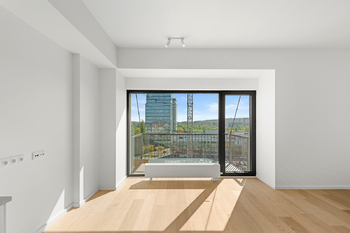 Pronájem bytu 1+kk v osobním vlastnictví 40 m², Praha 7 - Holešovice