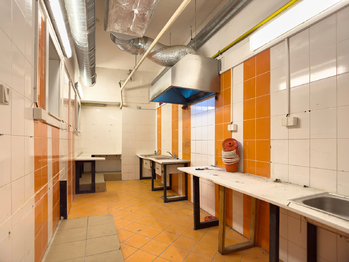 Pronájem obchodních prostor 850 m², Rousínov