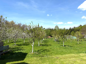 Prodej pozemku 10846 m², Třebíč