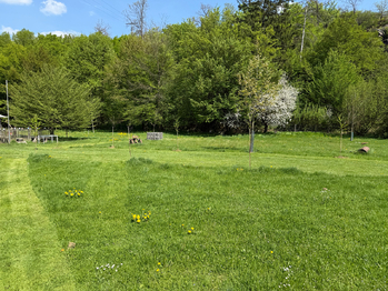 Prodej pozemku 10846 m², Třebíč