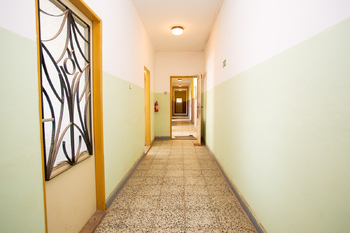 Prodej zemědělského objektu 5100 m², Vokov