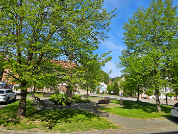 Prodej domu 186 m², Brandýs nad Orlicí